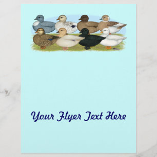 Acht Call Ducks Flyer