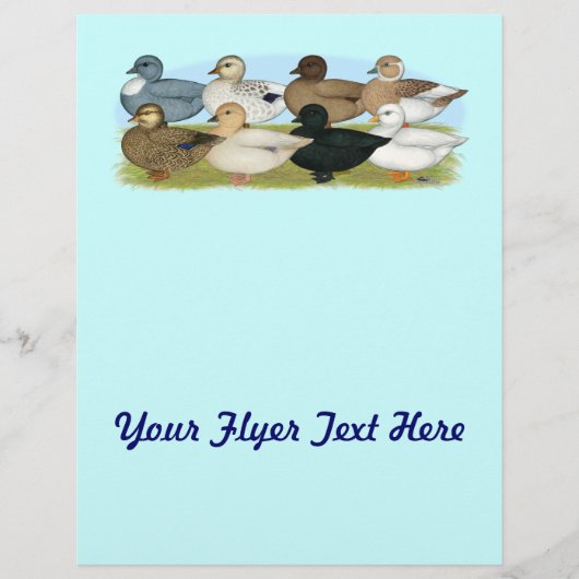 Acht Call Ducks Flyer (Vorne)