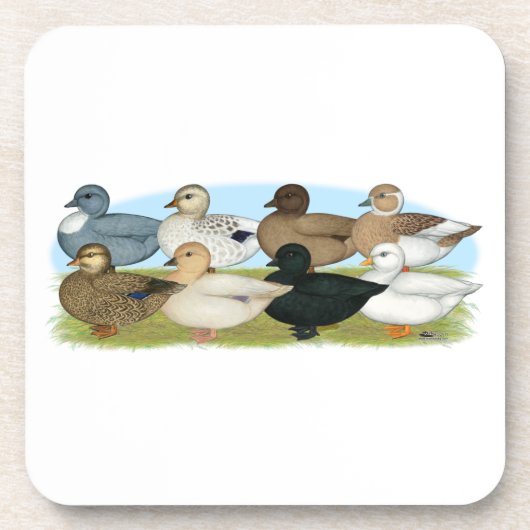 Acht Call Ducks Getränkeuntersetzer (Vorderseite)