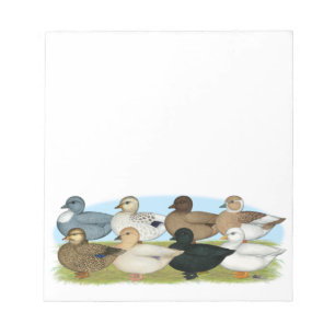 Acht Call Ducks Notizblock