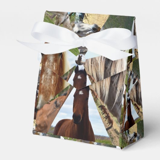 Acht Dreiecke, Gastgeschenk Geschenkschachtel (Vorderseite)