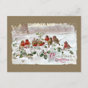 Acht englische Robins auf Holly Vintage Weihnachte Feiertagspostkarte