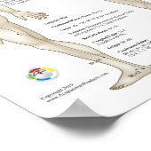 Acht Extra-Akupunktur Außergewöhnliche Meridiane Poster (Ecke)