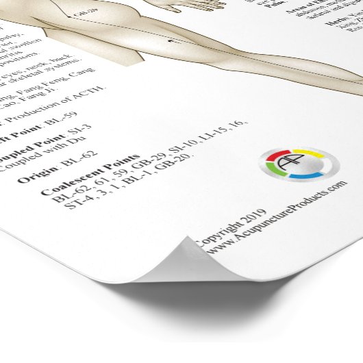 Acht Extra-Akupunktur Außergewöhnliche Meridiane Poster (Ecke)