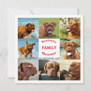 Acht Fotos Weihnachten Familienfeiertag Spektakulä