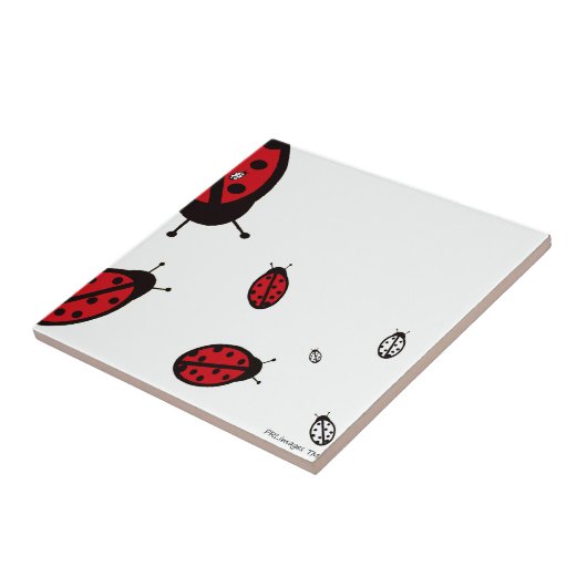 Acht Marienkäfer auf weißer Fliese (Seite)