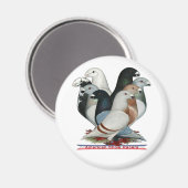 Acht Racers anzeigen Magnet (Vorderseite/Rückseite)