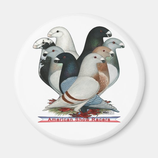 Acht Racers anzeigen Magnet (Vorne)