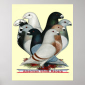 Acht Racers anzeigen Poster (Vorne)