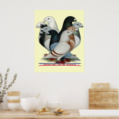 Acht Racers anzeigen Poster (Küche)