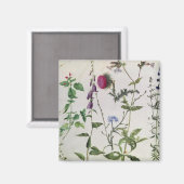 Acht Studien über wild lebende Blume Magnet (Vorderseite/Rückseite)