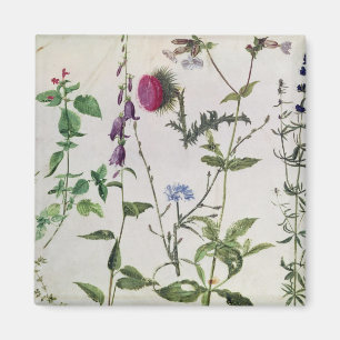 Acht Studien über wild lebende Blume Magnet