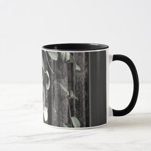 acht tasse (Rechts)
