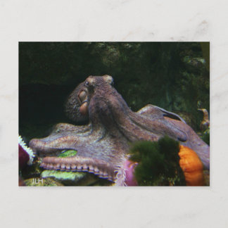 Acht Wege, um sich zu fassen Postkarte