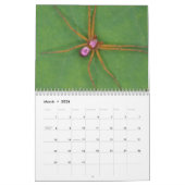 Acht Wunder - Spiders Calendar Kalender (Mär 2026)