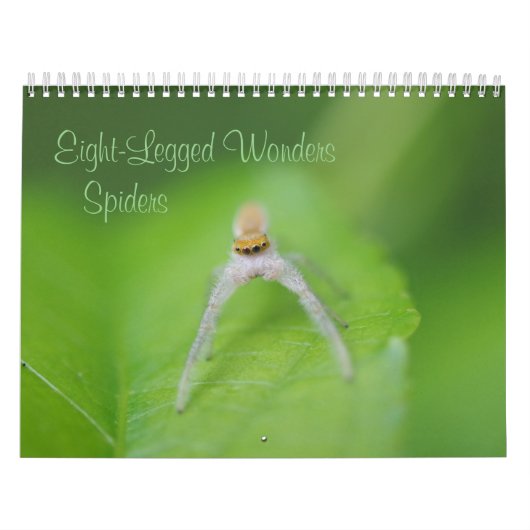 Acht Wunder - Spiders Calendar Kalender (Titelbild)