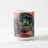 Achtbeinige Liebe: Fett Jumper Spider Merch Kaffeetasse (Mittel)