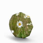 Achteckig fotoblock (Rechts)