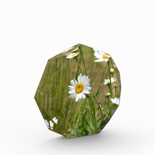 Achteckig fotoblock (Links)