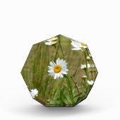 Achteckig fotoblock (Vorderseite)