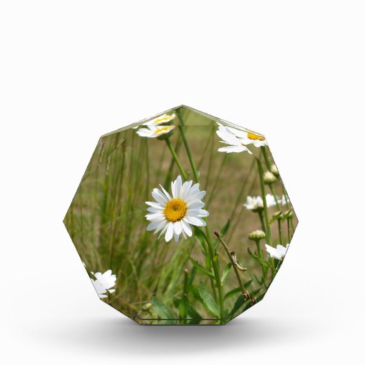 Achteckig fotoblock (Vorderseite)