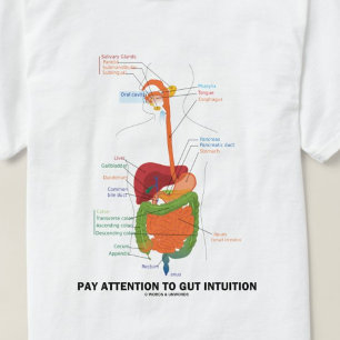 Achten Sie auf die Intuition des Darms (anatomisch T-Shirt