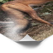 Achten Sie auf die Printwerbung meines Bruder-Foto Fotodruck (Ecke)