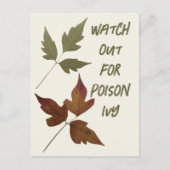 Achten Sie auf Gift Ivy Wandersicherheit für Pfadf Postkarte (Vorderseite)