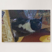 Achtsamer Tuxedo Cat Jigsaw Puzzle (Horizontal)