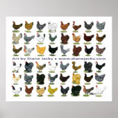 Achtundvierzig Hen Promo Poster (Vorne)