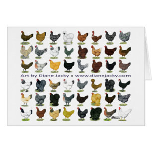 Achtundvierzig HennePromo