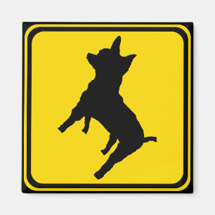 Achtung: Chihuahua Ahead! Magnet