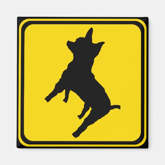 Achtung: Chihuahua Ahead! Magnet (Vorne)