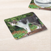 Achtung! Kitty - Katze - Untersetzer (angewinkelt)