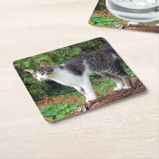 Achtung! Kitty - Katze - Untersetzer (angewinkelt)