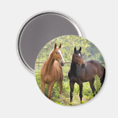 Achtung Magnet (Vorderseite/Rückseite)