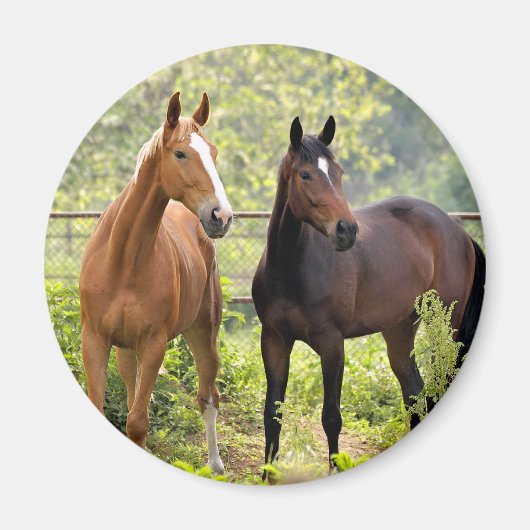 Achtung Magnet (Vorne)