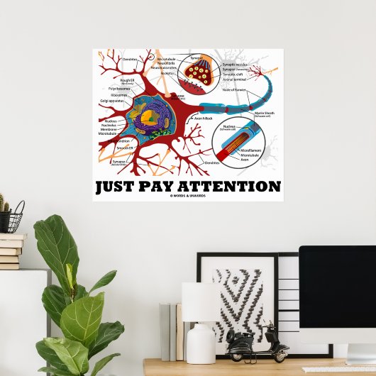 Achtung (Neuron / Synapse anatomisch) Poster (Heimbüro)