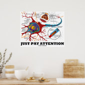 Achtung (Neuron / Synapse anatomisch) Poster (Küche)