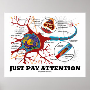 Achtung (Neuron/Synapse) Poster
