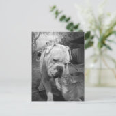 Achtung Postkarte (Stehend Vorderseite)