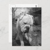 Achtung Postkarte (Vorne/Hinten)