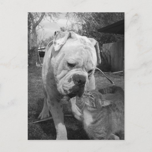 Achtung Postkarte (Vorderseite)