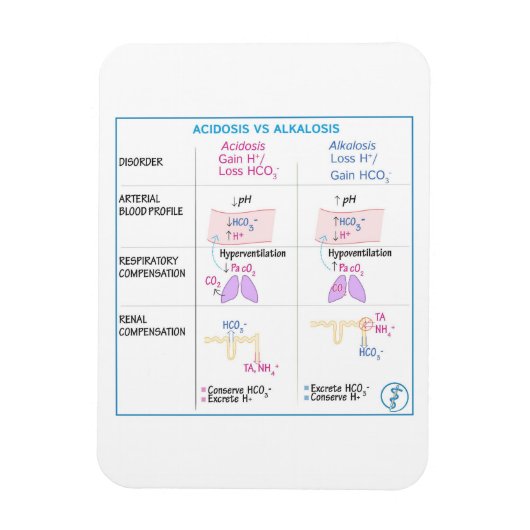 Acidose vs Alkalosis Magnet (Vertikal)