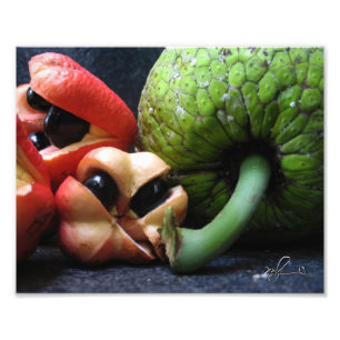 Ackee und Breadfruit Fotodruck