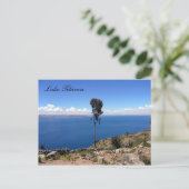 Ackerbaum Postkarte (Stehend Vorderseite)