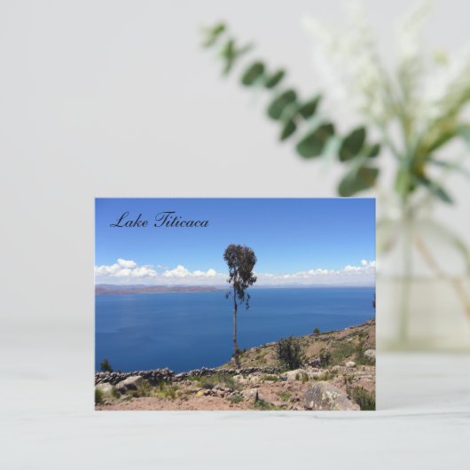 Ackerbaum Postkarte (Stehend Vorderseite)