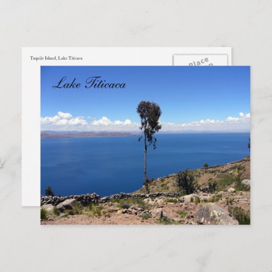 Ackerbaum Postkarte (Vorne/Hinten)