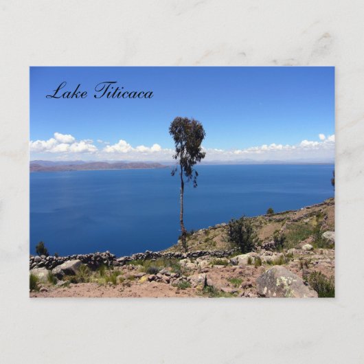 Ackerbaum Postkarte (Vorderseite)