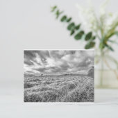 Ackerland im ländlichen Norfol Postkarte (Stehend Vorderseite)